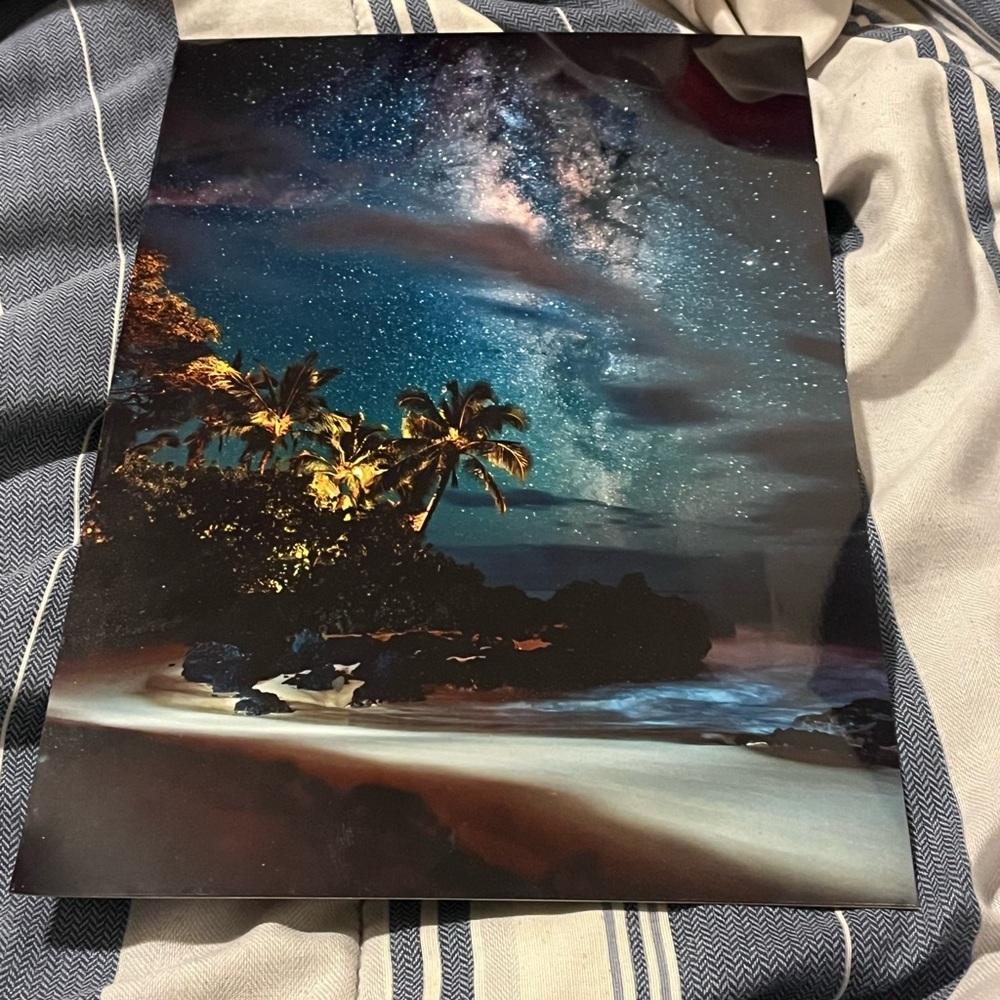 Tropical Night Sky Canvas Art